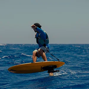 Assist Foiling Image